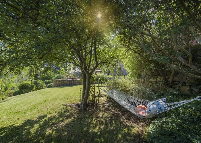 Punxa Dalt Nyaraló Pollença